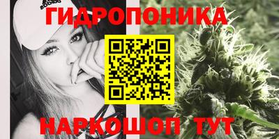 spice Канаш